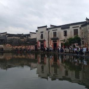 灰宝的
