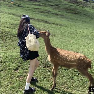 优雅星星Ssn 头像