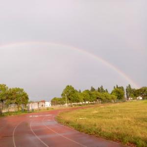 陪读爸爸王老师 头像
