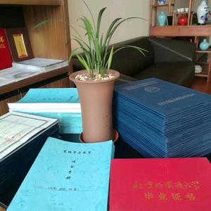 大圣学成-职教未来 头像