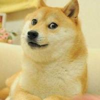 拾光掠影2 头像