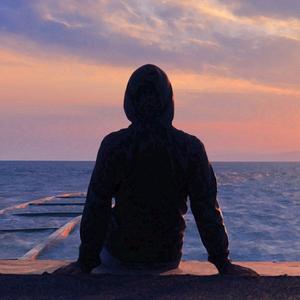 陈老师的探索与发现 头像