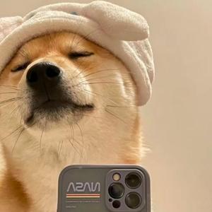 阿财讲感情 头像