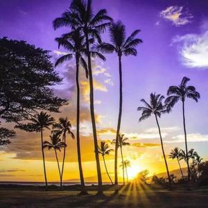 敲可爱的丸子吖 头像