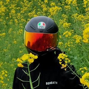 小陈必赴山海 头像