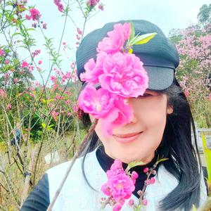 桃花飞扬爱舞 头像