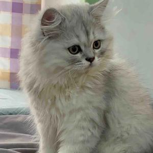 候你半谢暖阳 头像