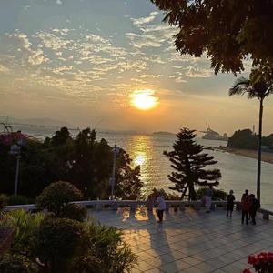 小园青杏小 头像