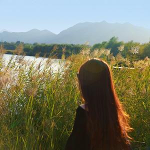 快乐百香果 头像