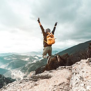 行李箱的知识秘密 头像