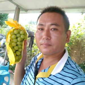 定远龙佳缘山庄孔哥 头像