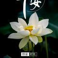 职场流浪 头像