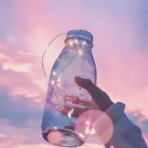 安逸松鼠ZU 头像