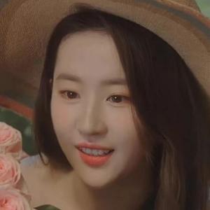 大圆侃影剧 头像