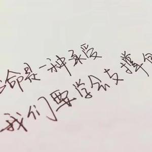 盘来盘乐趣 头像