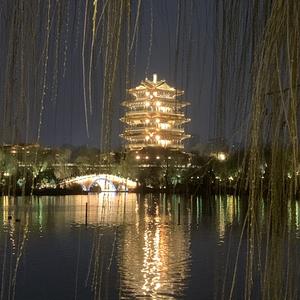 徐徐微风拂柳枝