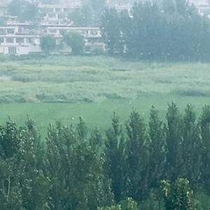 L若水 头像