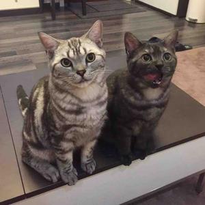 请把我妹带走 头像