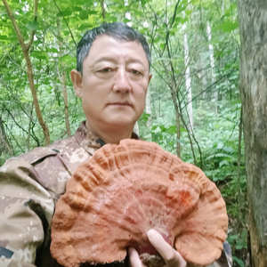 林区老陈的户外生活 头像