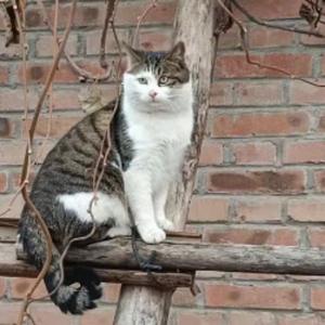 七七看百态 头像