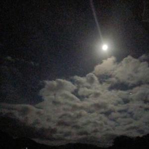 默默的永远就这样吧 头像