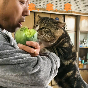 农村睿哥 头像