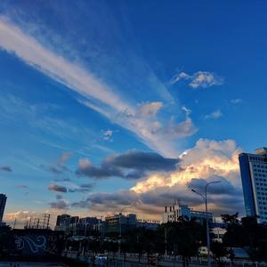 聪颖松鼠of 头像