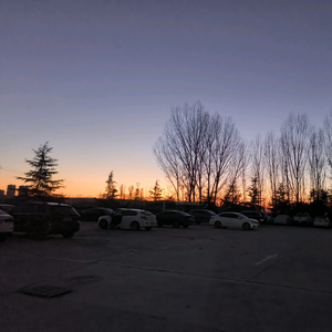 聪明的白云th 头像