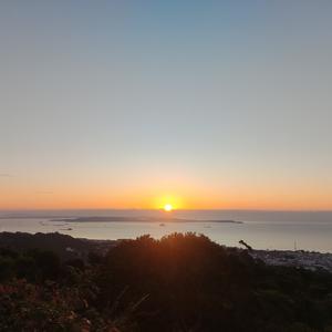 行走边缘的野鹤 头像