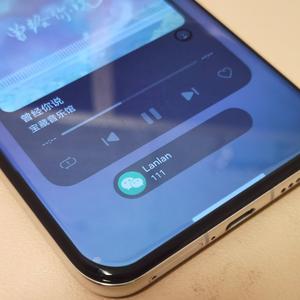 桉总的毛豆歪 头像