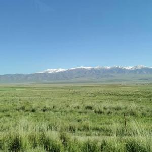 蒸笼里的叉烧包 头像