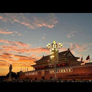 随心更小说 头像