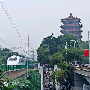 捌蕶无痕头像