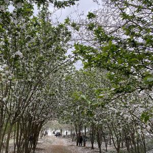 全中看传媒 头像