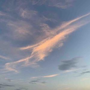 声乐技巧课堂 头像