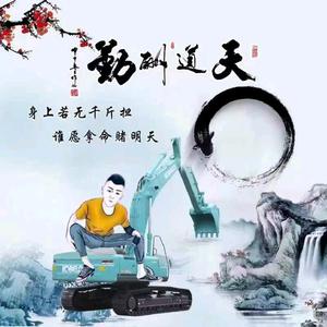 极客枫叶9h9 头像