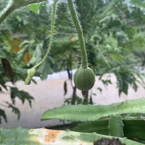雨中淡定赏街景 头像