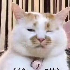 生活就是一堆故事 头像