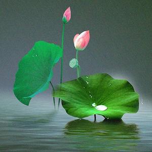 淡若晨风8J0d 头像