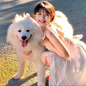 快乐好运可爱 头像