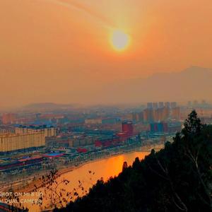 晒太阳的猫咪 头像