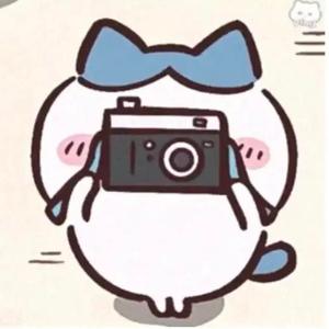 猫meme日常小剧场 头像