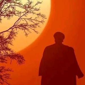 圆老师(助农) 头像