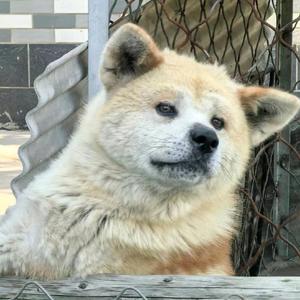 爱看故事的萝卜 头像