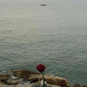 舞动蓝天6O3V 头像