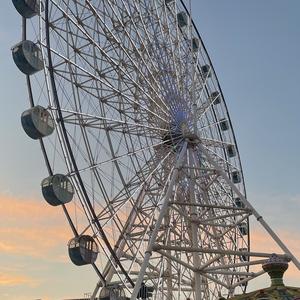 聪颖的井底之蛙 头像