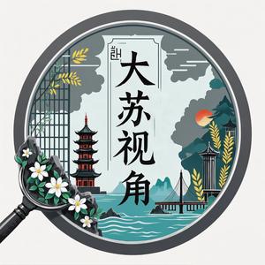 大苏视角