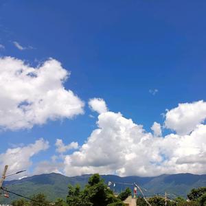 坦荡的溪水Lz 头像