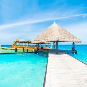 用户3197817693956343 头像