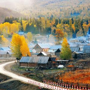 望你我无忧 头像